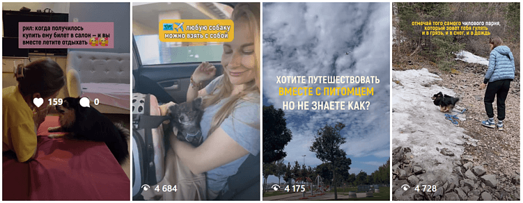 Короткие ролики для Pet in travel мы публикуем на 5 площадках, а некоторые переделываем под статьи и посты