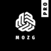 MOZG.PRO