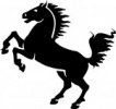 Webmustang