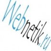 webnetik