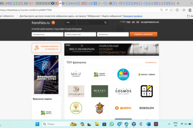 Подготовка серии статей для сайта franshiza.ru