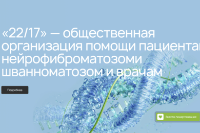 Новый сайт 22/17