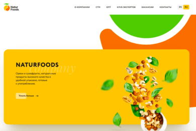 Разработка сайта компании