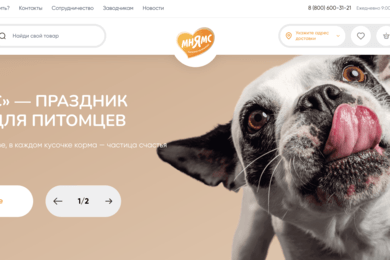 Разработка сайта Мнямс