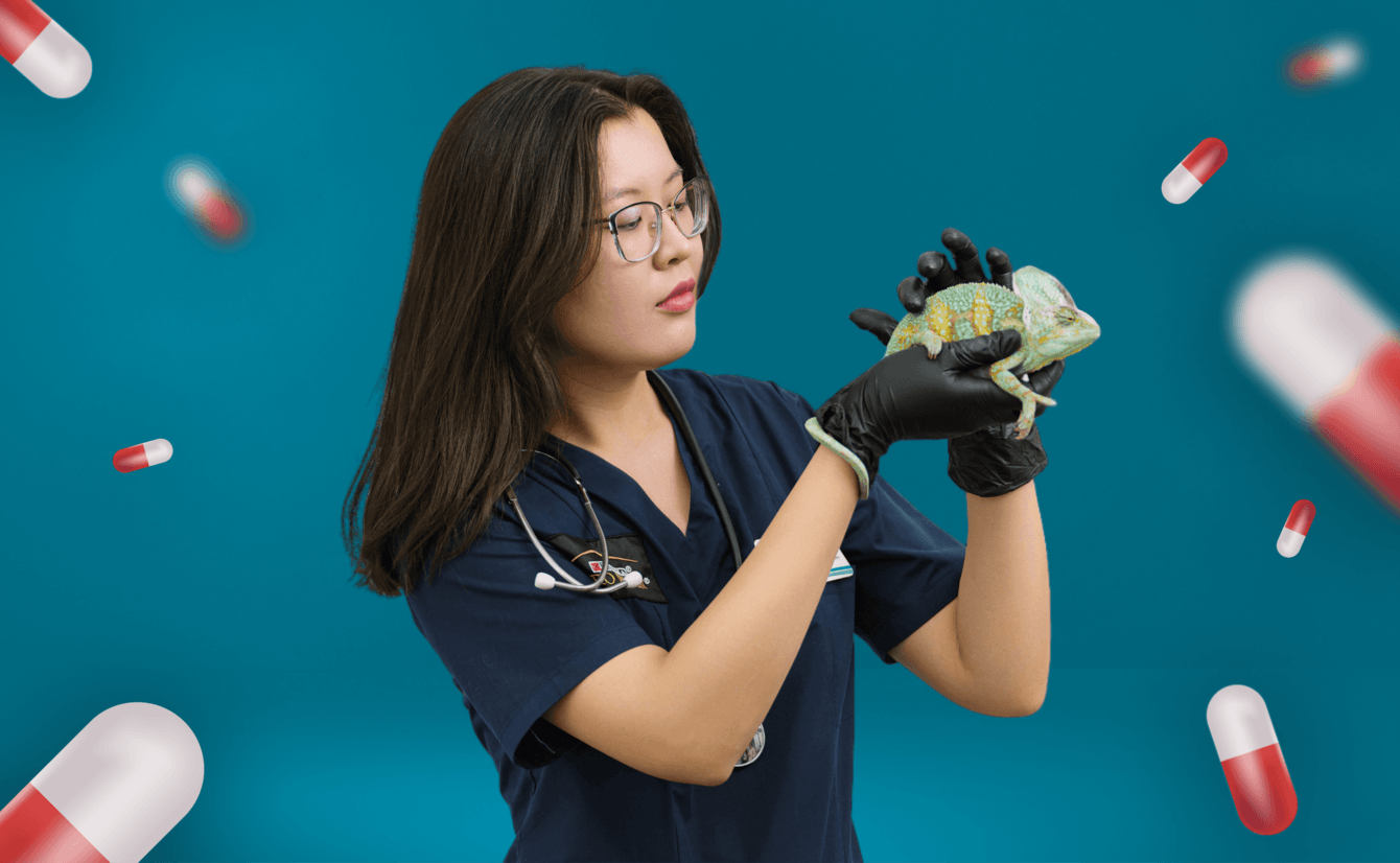 Разработка сайта ветеринарной клиники ЕВРОВЕТ