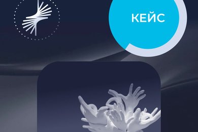 SEO-продвижение онлайн-школы психоанализа «Вышка Пси»