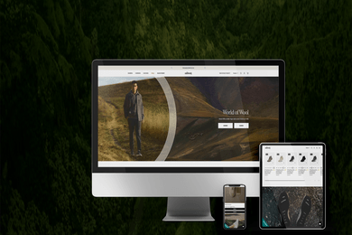 Allbirds — интернет-магазин обуви