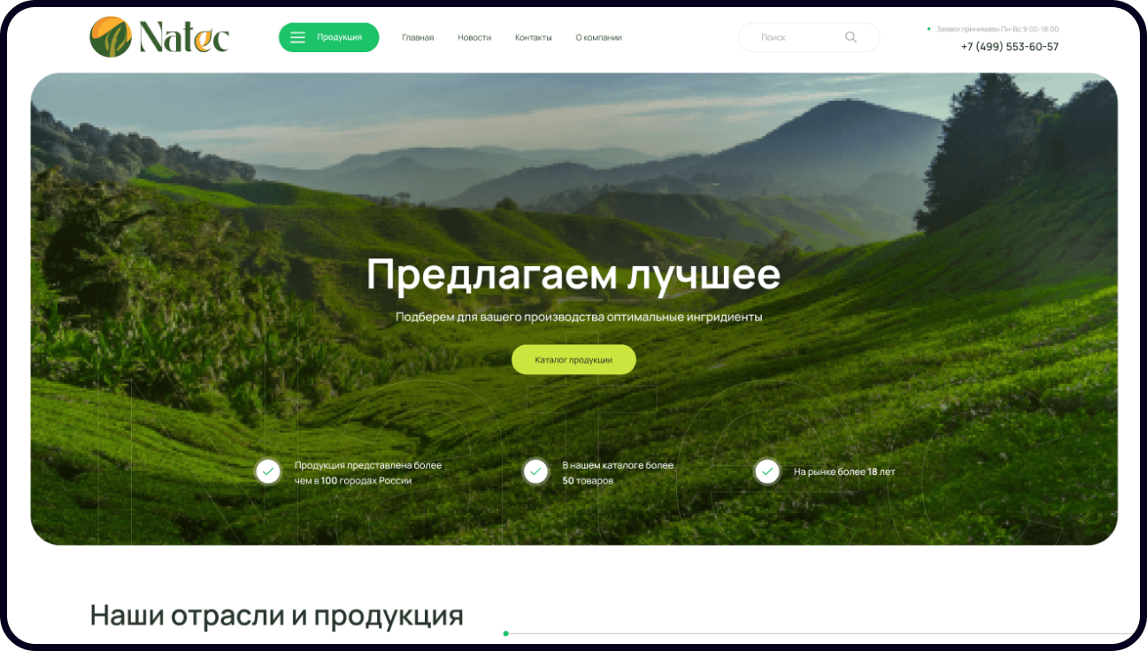 Разработка сайта Natec-Color — корпоративнный сайт компании