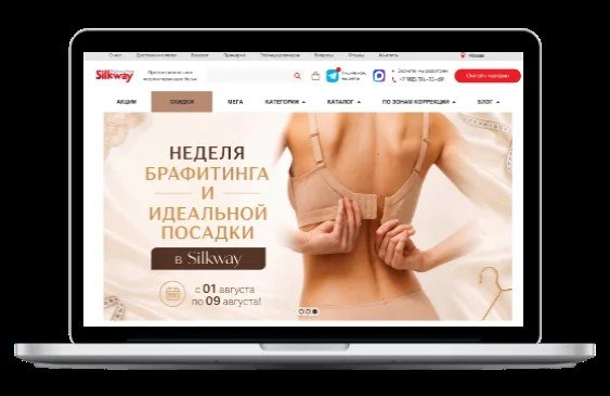 Кейс по созданию и продвижению сайта Silk-way.ru