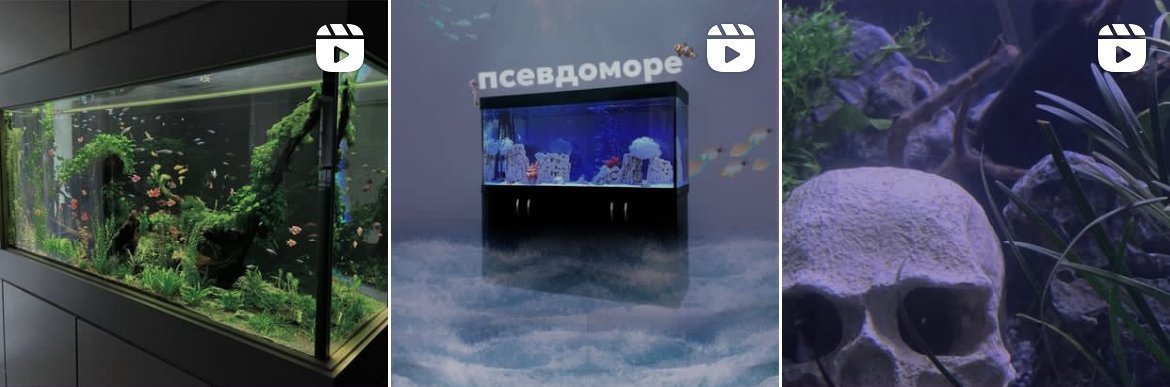 Партнеры-основатели компании по производству и обслуживанию аквариумов