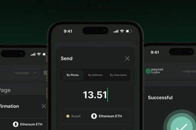 Разработка веб-сервиса Paynet Crypto