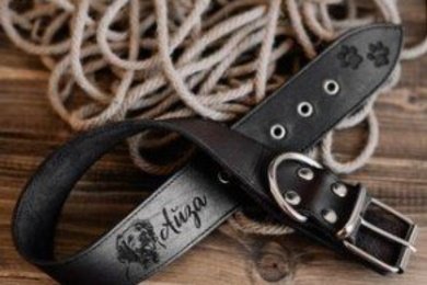 6 000 000 рублей на изделиях из кожи