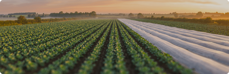 Когда типовых решений мало: ускорили рутинные расчеты и обезопасили данные химического гиганта