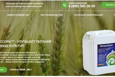 Группа компаний 