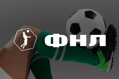 Техническая поддержка проектов ФНЛ