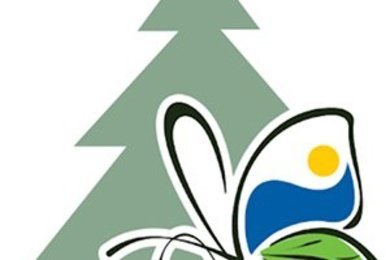 Приложение для путешественников по Ленинградской области