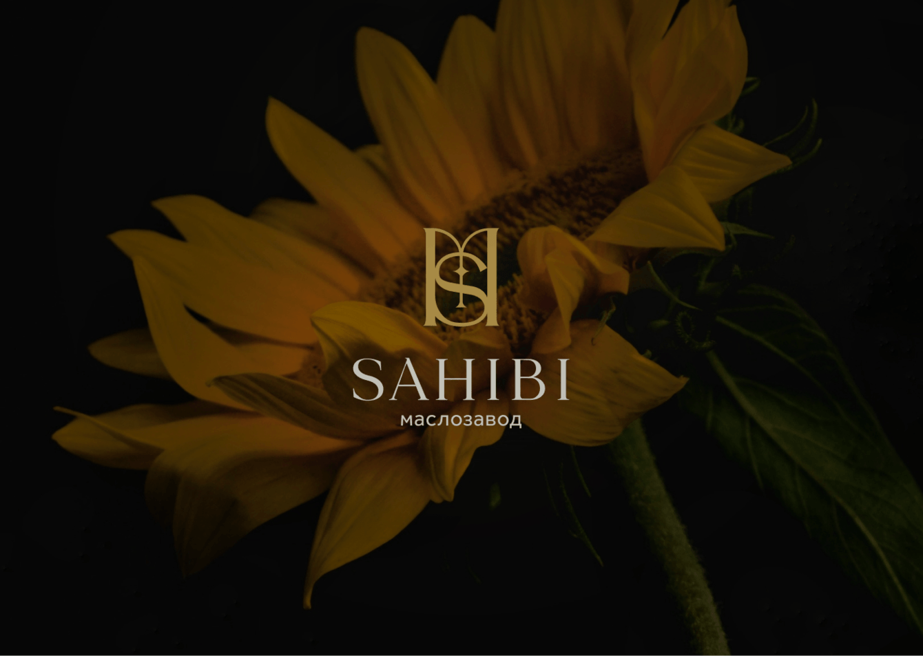 Разработка логотипа и дизайн упаковки-этикетки 3D