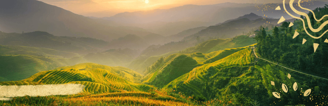 Продвижение сайта чайной компании «Золотая долина»