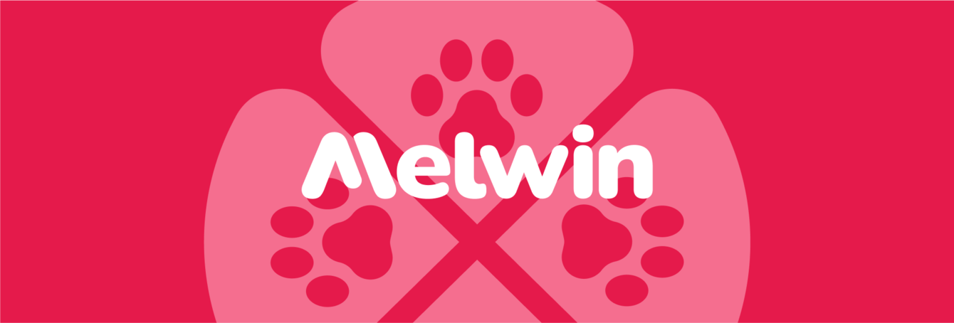 Дизайн и разработка сайта бренда кормов для домашних животных Melwin