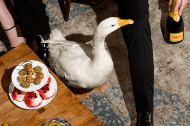 Запуск новой концепции премиального ресторана Goose Goose с охватом 1 500 000 на 3-й месяц работы