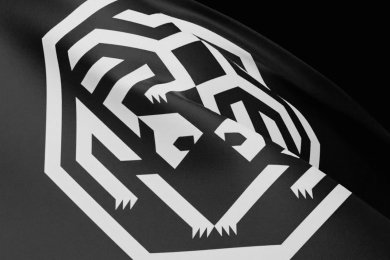 Фирменный стиль «ВФСМ»