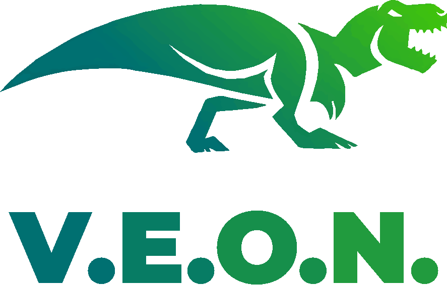 Интернет-магазин брендовой одежды V.E.O.N.