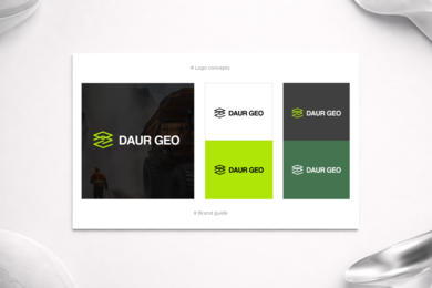 Разработка брендбука для геологической компании Daur Geo