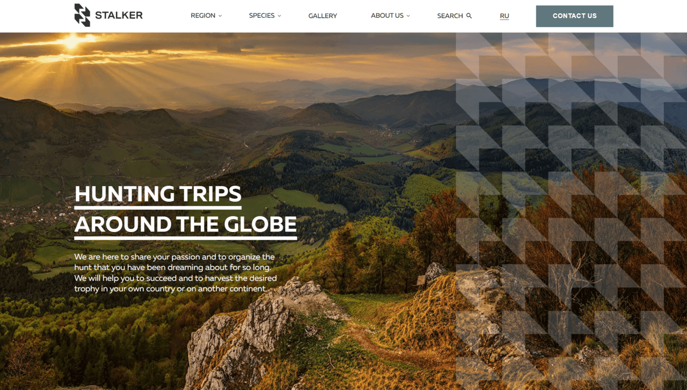 От охотничьих трофеев до рыбацких уловов: история создания портала с большим объёмом контента и фото