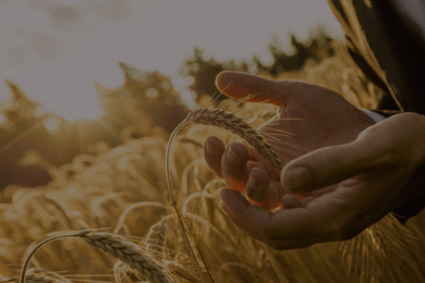 Мукомольный завод