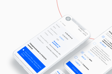 РАЗРАБОТКА ВЕБ-ПРИЛОЖЕНИЯ ДЛЯ ОФОРМЛЕНИЯ МИГРАЦИОННЫХ ДОКУМЕНТОВ