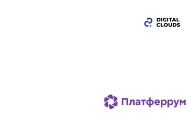 Платферрум: Разработка и развитие первого в России маркетплейса по продаже металлопроката