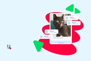 Кейс Авито Реклама: 285 доноров крови для животных ежемесячно с CPA до 700₽