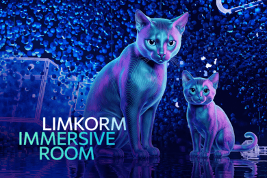 Интерактивное пространство LimKorm