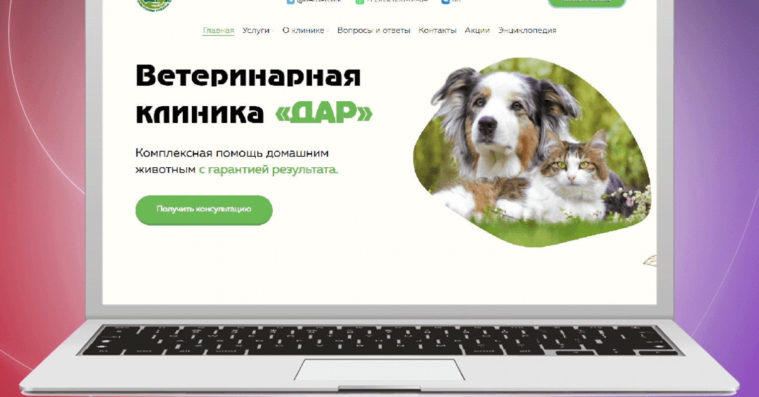 Создание органического сайта для ветклиники с высоким CTA – кейс