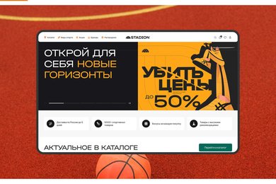 Стадион ПРО. Разработка интернет-магазина на 10 000 SKU с нуля до полного запуска.