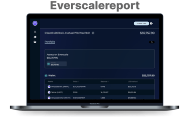 Сервис мониторинга активов кошельков Everscale