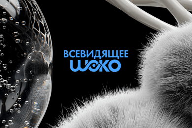 БРЕНД-СТРАТЕГИЯ АЛЕКСАНДРА ШОКУРОВА, CEO KOKOC GROUP