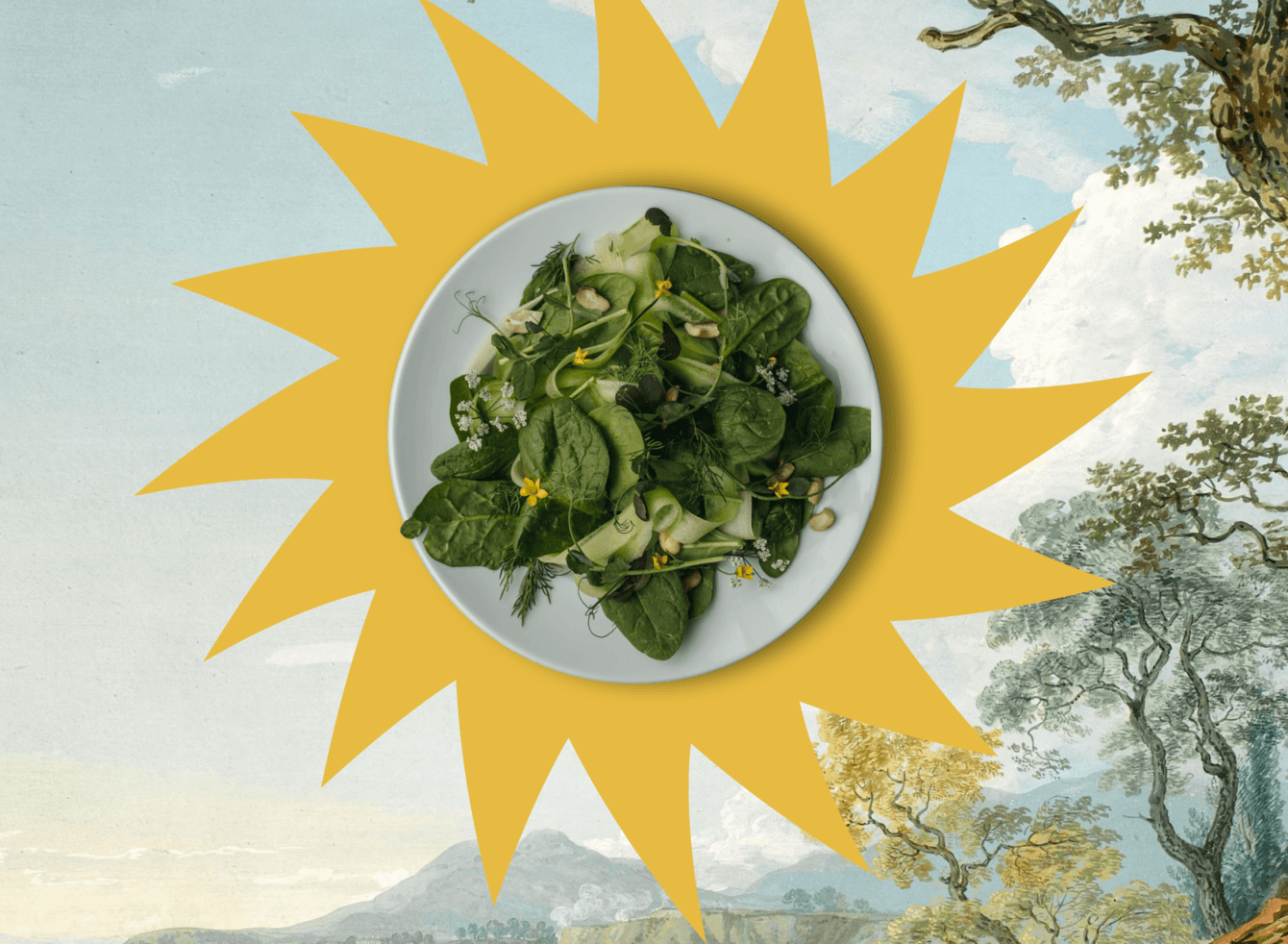 Разработка логотипа и упаковки для линейки салатов Mama Natura Greens