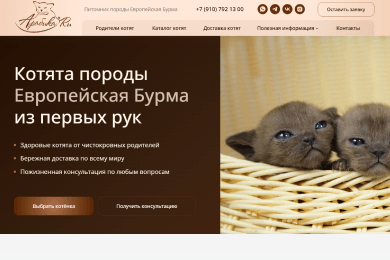 54 заявки за первый месяц работы сайта питомника кошек