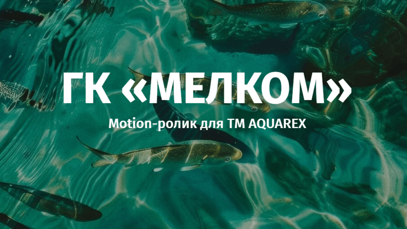 Motion-ролик для ТМ AQUAREX