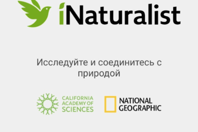 iNaturalist-сообщество людей, увлеченных исследованием окружающей среды.