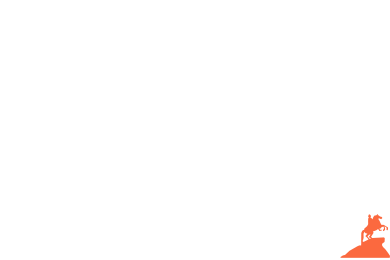 CRM-система для менеджмента экскурсий и аудиогидов TRiMOTi