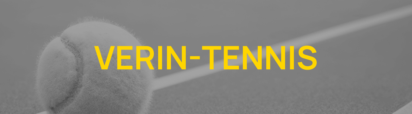 Разработали лендинг для Василия Верина