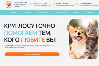 101 заявка в ветеринарную клинику сразу после запуска сайта