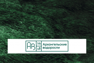 Как мы комплексно строим бренд «Архангельские водоросли» в digital