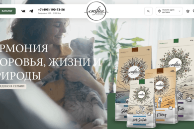 Разработка сайта Craftia