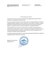 33 пингвина: influence-маркетинг со вкусом