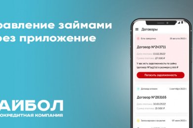 Мобильное приложение для МФО «Байбол»