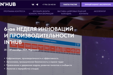 Техническая поддержка сайта Python, Vue