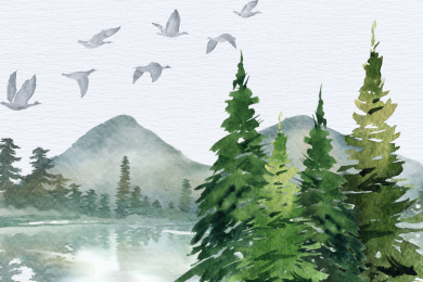 Из простого сайта в мощный сервис по подбору туров: получили стабильный поток заявок через SEO